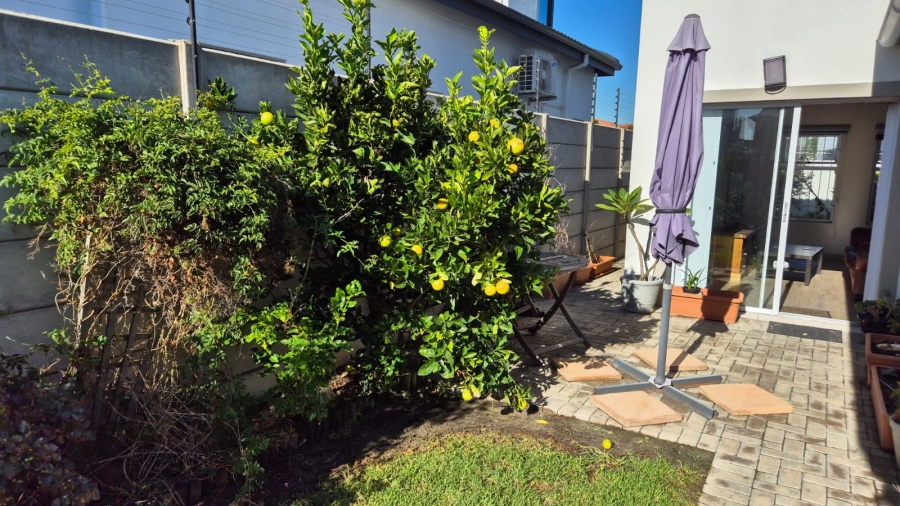 To Let 3 Bedroom Property for Rent in Parklands North Western Cape